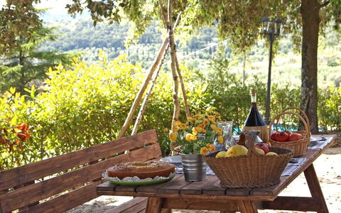 Villa Gelsomino: Table, Furniture, Backyard, Picnic, Room, Tree, Landscape, Outdoor Table, Outdoor Furniture, Meal