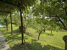 Outdoor view and garden