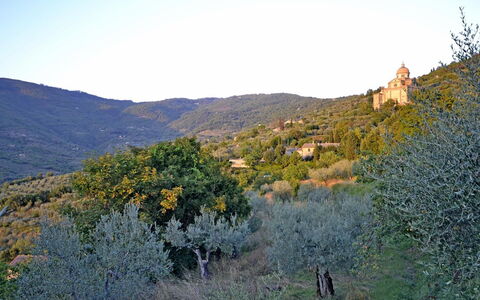 Villa Santa Maria: Natural Landscape, Wilderness, Tree, Mountain, Sky, Leaf, Hill, Biome, Chaparral, Plant Community