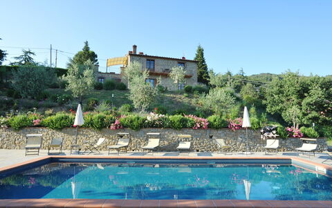 Villa Rubino: Swimming Pool, Property, Real Estate, Building, Water, House, Botany, Vacation, Estate, Tree