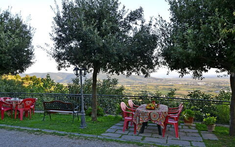 Appartamento Luna: Tree, Leisure, Botany, Woody Plant, Grass, Spring, Rural Area, Furniture, Garden, Summer