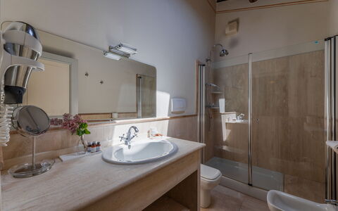 Terrazza Cortonese: Mirror, Plumbing Fixture, Tap, Sink, Property, Bathroom, Bathroom Sink, Wood, Shower, Flooring