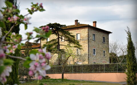 Villa Il Palazzo: Flower, Plant, Sky, Cloud, Building, Window, House, Petal, Grass, Wall