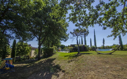 Villa Del Monte: Tree, Grass, Land Lot, Woody Plant, Photography, Road, Real Estate, Landscape, Plant, Rural Area