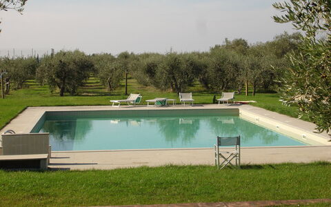 Agriturismo la Papessa: Water, Plant, Property, Swimming Pool, Sky, Rectangle, Shade, Grass, Land Lot, Leisure