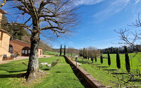 Villa Le Caggia: Sky, Plant, Cloud, Window, Natural Landscape, Building, Tree, Branch, Land Lot, Vegetation