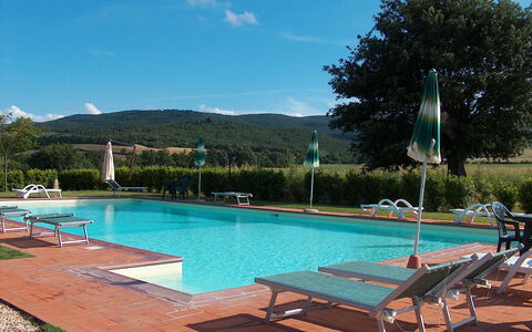 Bazzani Apartments In Siena: Water, Sky, Plant, Property, Furniture, Swimming Pool, Cloud, Azure, Sunlounger, Tree
