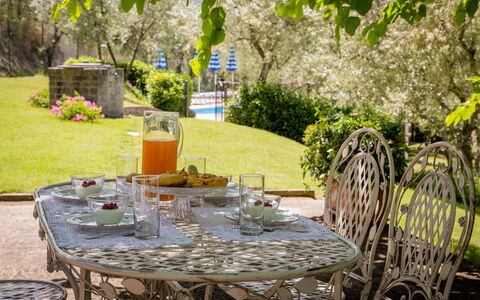 Villa Le Capanne: Green, Yellow, Table, Furniture, Backyard, Chair, Garden, Tree, Restaurant, Plant