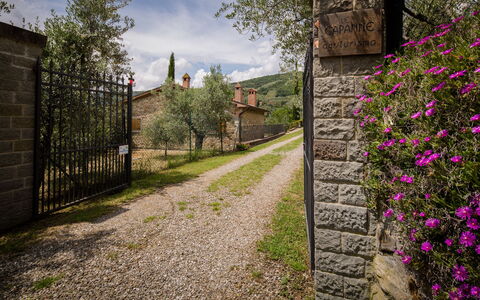 Villa Le Capanne: Vegetation, Flower, Spring, Wall, Tree, Grass, Plant, Shrub, House, Botany