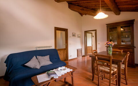 Accommodation:&nbsp;Oliveto