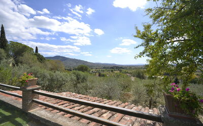 Panoramic view