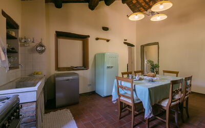 Accommodation:&nbsp;Il Gelso