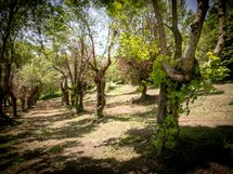 Agriturismo Borgo Al Teto