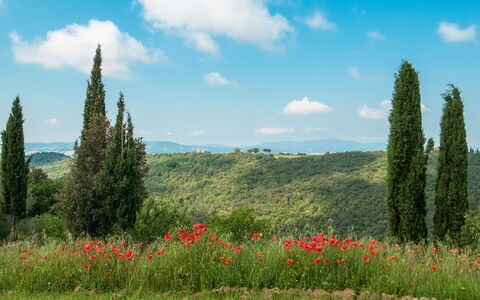 Fontanelle 16: Natural Landscape, Meadow, Nature, Natural Environment, Vegetation, Grassland, Sky, Wilderness, Nature Reserve, Biome