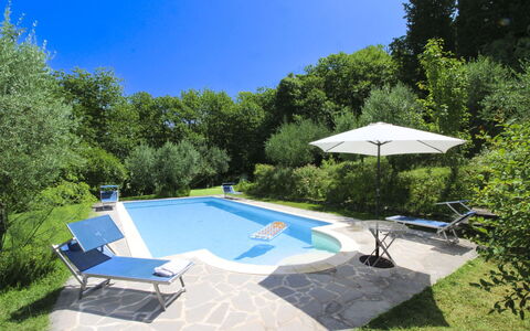 Villa Gioiosa: Swimming Pool, Outdoor Furniture, Garden, Shade, Resort, Backyard, Eco Hotel, Landscaping, Chair, Water Feature