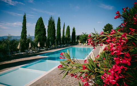 Fattoria Fronzano: Water, Flower, Sky, Cloud, Plant, Property, Swimming Pool, Tree, Natural Landscape, Arecales