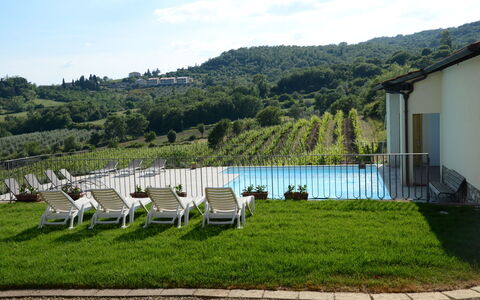 Agriturismo Cincinelli: Property, Grass, Natural Landscape, Lawn, House, Land Lot, Hill Station, Real Estate, Estate, Furniture