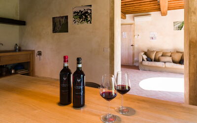 tenuta-san-jacopo-cavriglia-multiproperty-vinsantaia-san-giovese-kitchen