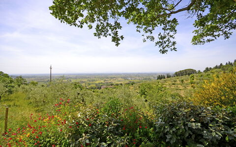 Villa Il Palazzone: Natural Landscape, Nature, Vegetation, Natural Environment, Sky, Tree, Nature Reserve, Leaf, Meadow, Field