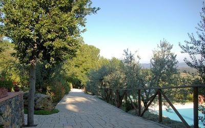 the path that leads to the pool and the old walnut