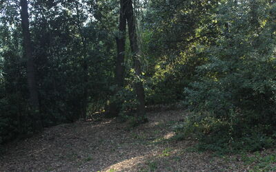 Gli Appartamenti Di Manuela