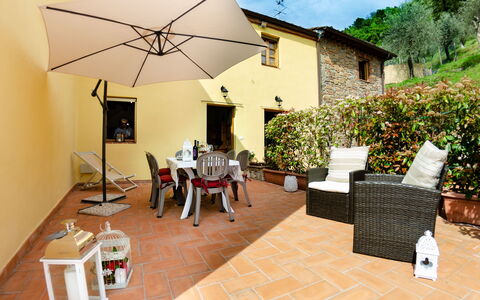 Alla Piazzetta: Plant, Building, Interior Design, Chair, Outdoor Furniture, Table, Wood, Tree, House, Shade