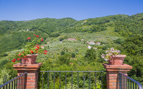 Villa Roncovisi: Vegetation, Property, Tree, Nature Reserve, Leaf, Botany, Garden, Hill, Real Estate, House