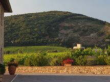 View to our wine cellar