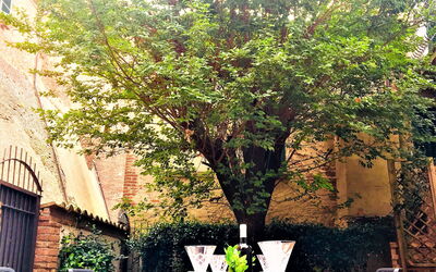 Vista del giardino dalla porta finestra della Taverna .