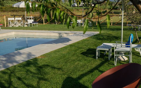 Incanto Toscano: Plant, Water, Furniture, Chair, Shade, Outdoor Furniture, Botany, Tree, Land Lot, Grass