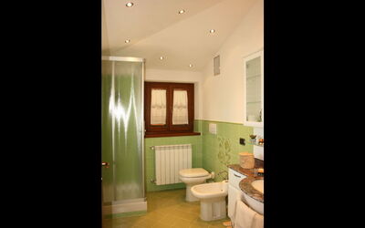 Accommodation:&nbsp;Emerald