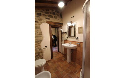 Accommodation:&nbsp;Olinto