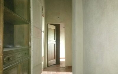 Accommodation:&nbsp;Cotoneaster