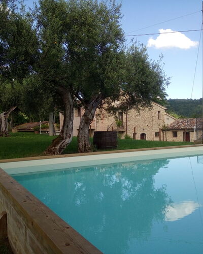 La Collina Con Gli Ulivi