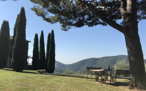 Compignano Barn: Tree, Sky, Grass, Plant, Landscape, National Park, Rock, Tourism, Mountain, Hill
