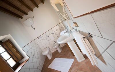 Suite 209: Property, Ceiling, Room, Interior Design, Design, House, Material Property, Architecture, Floor, Daylighting