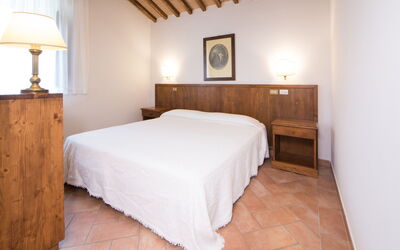 Accommodation:&nbsp;Quadri 206