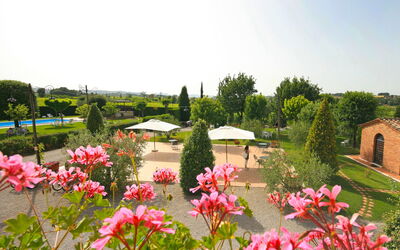 Montepulciano 860