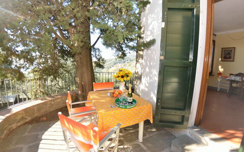 La Cipressa: Property, Room, Home, Porch, Real Estate, House, Furniture, Backyard, Building, Patio