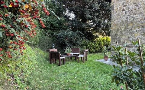 Batticapo di Ilaria: Plant, Plant Community, Leaf, Flower, Natural Landscape, Grass, Tree, Biome, Shrub, Groundcover