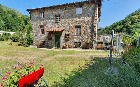 Casa Irene: Plant, Property, Window, Sky, Grass, Building, Land Lot, Natural Landscape, Tree, Leisure