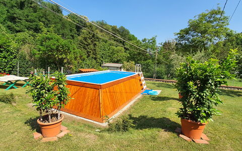 Casa Irene: Plant, Plant Community, Sky, Shade, Outdoor Furniture, Vegetation, Flowerpot, Swimming Pool, Tree, Grass