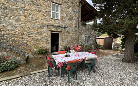 Casa Max: Plant, Building, Window, Table, Road Surface, House, Tree, Outdoor Furniture, Wood, Outdoor Table