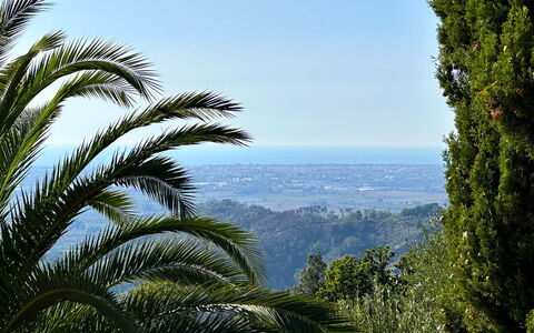 Borgo Bucatra Buonvento: Sky, Natural Landscape, Terrestrial Plant, Vegetation, Arecales, Tree, Landscape, Plant, Palm Tree, Forest