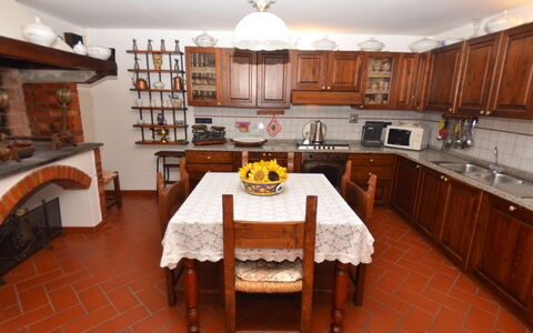 Petra: Room, Property, Furniture, Kitchen, Countertop, Building, Cabinetry, Interior Design, Real Estate, Dining Room