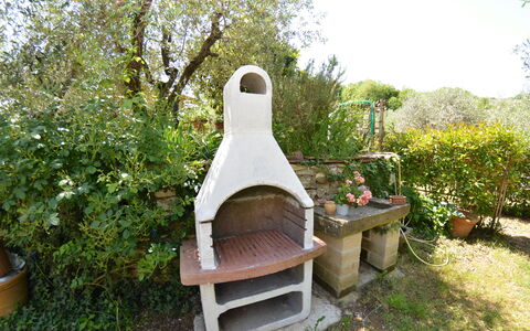 Petra: Garden, House, Yard, Plant, Backyard