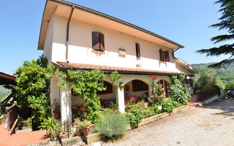 Petra: Property, House, Building, Real Estate, Home, Villa, Rural Area, Tree, Facade, Architecture