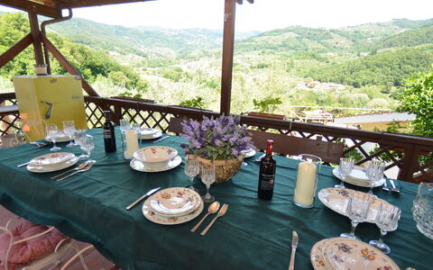 Petra: Restaurant, Table, Resort, Room, Meal, Tablecloth, Furniture, Leisure, Interior Design, Breakfast