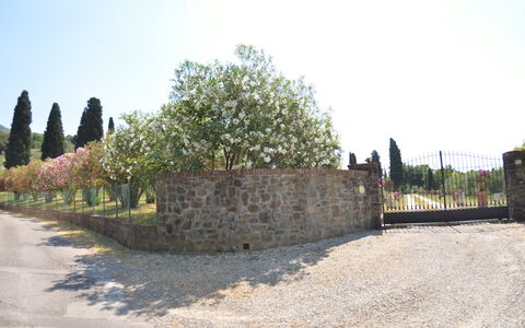 Villa Il Borghetto: Wall, Tree, Land Lot, Photography, Stone Wall, History, Landscape, Historic Site, Tourism, Building