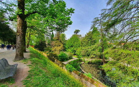 Casina Bella Di Lucca: Leaf, Vegetation, Shrub, Groundcover, Garden, Woody Plant, Trail, Walkway, Botanical Garden, Woodland